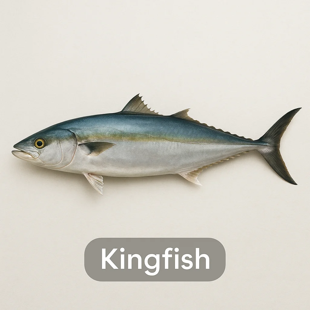 Kingfish