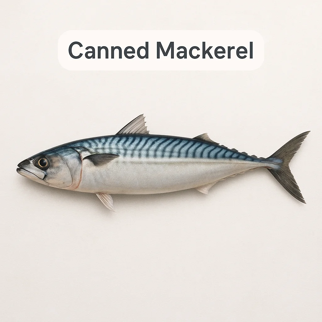 Canned Mackerel
