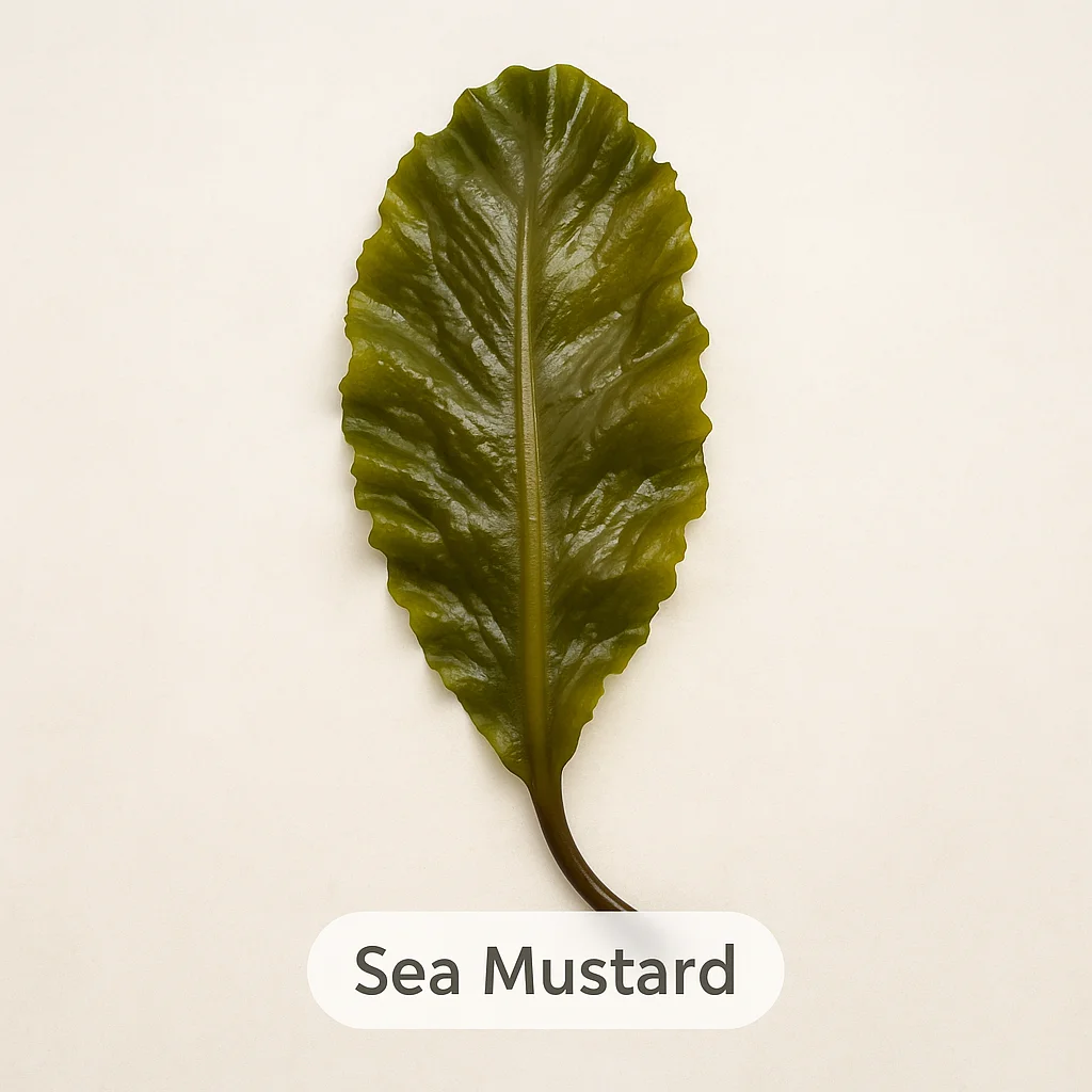 Sea Mustard