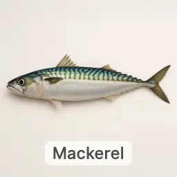 Mackerel
